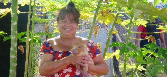 Aloha Spirit Vibrant at Auntie Grace’s Kokua Community