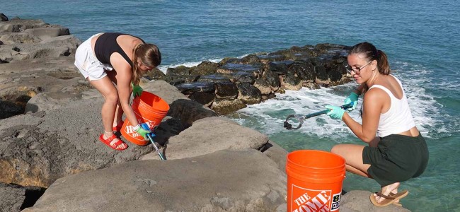 808 Cleanups: Keeping Oahu Clean and Green