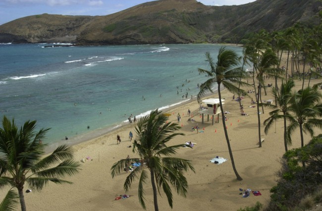 Soak up the Beauty of Oahu at These Scenic Parks