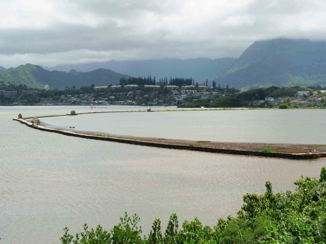 Ancient Hawaiian Fishponds: A Unique & Sustainable Way to Farm Fish