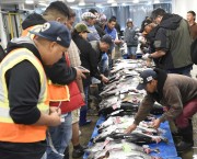 Honolulu Fish Auction: A Unique and Fascinating Experience