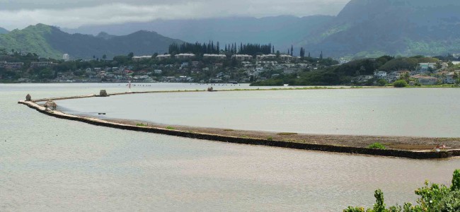 Ancient Hawaiian Fishponds: A Unique & Sustainable Way to Farm Fish
