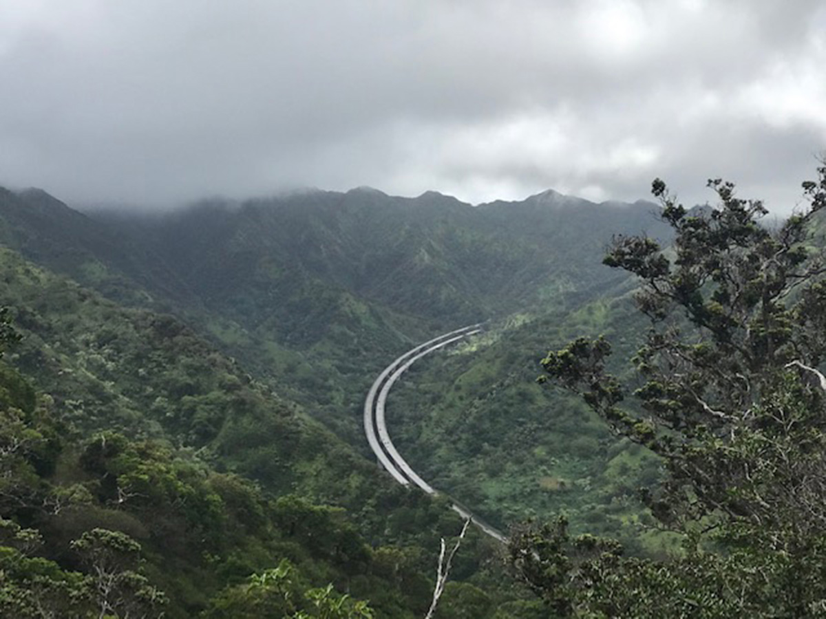 Hiking Aiea Loop Trail | Great Oahu Hikes Close to Honolulu